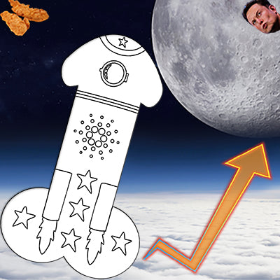 To the MOON Dick!