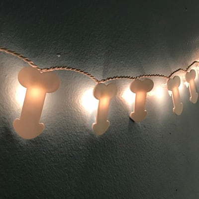Dick Party Lights!
